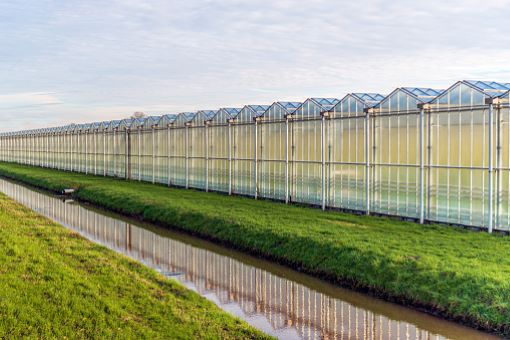 Loket open Subsidie voor energie-innovaties in de glastuinbouw Loket open Subsidie voor energie-innovaties in de glastuinbouw